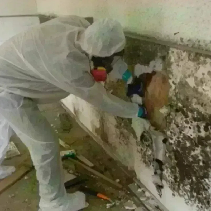 Mold Remediation and Removal in Milltown, NJ